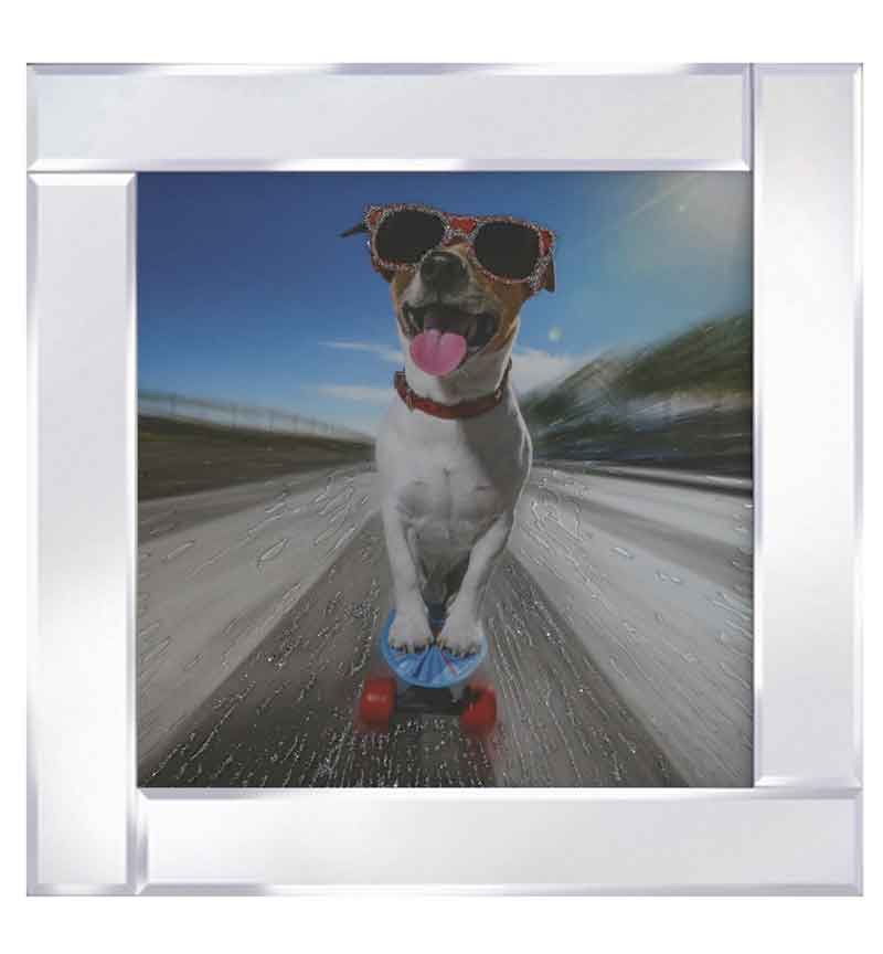 Mirror framed art print "Dog on a Skateboard" 60cm x 60cm