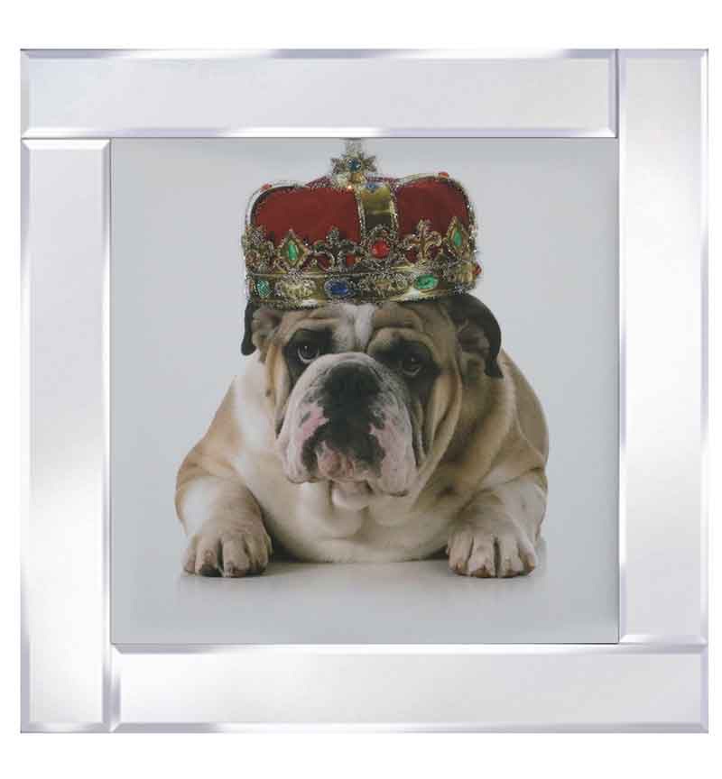Mirror framed art print "Bulldog wearing Kings Crown" 60cm x 60cm
