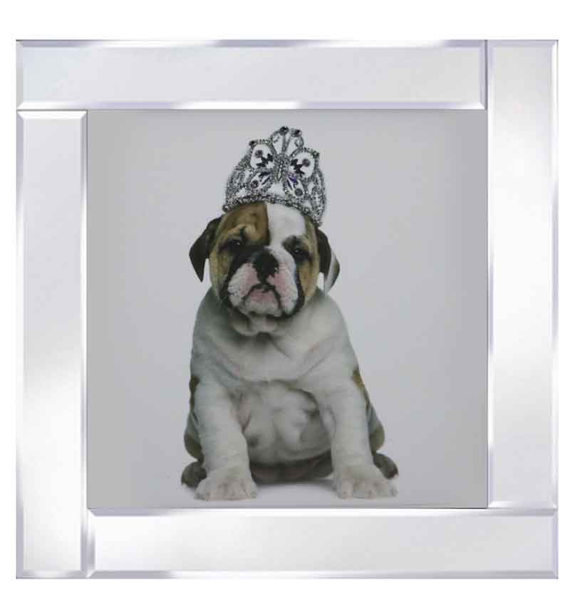 Mirror framed art print "Bulldog wearing a Tiara In Silver finish" 60cm x 60cm