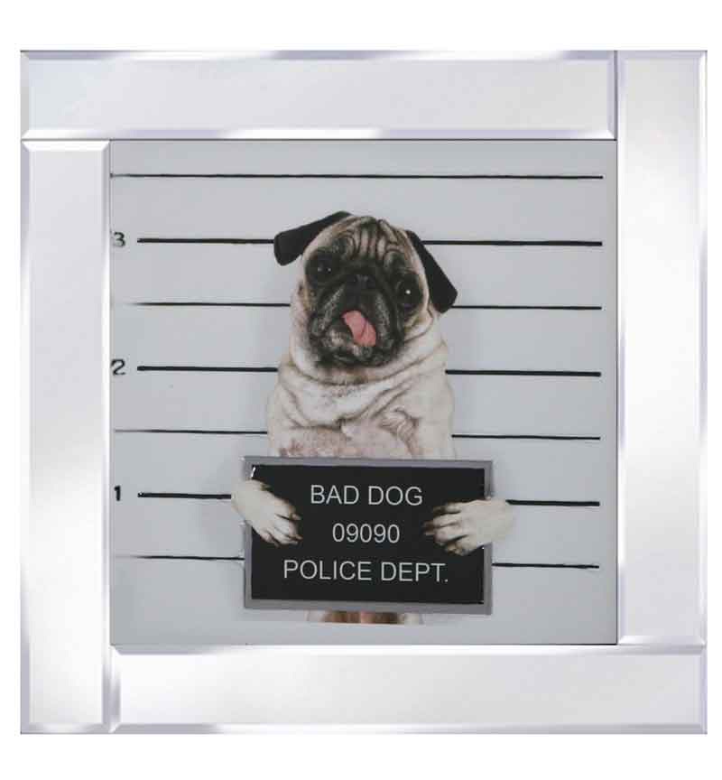 Mirror framed art print "Bad Dog mug shot" 60cm x 60cm