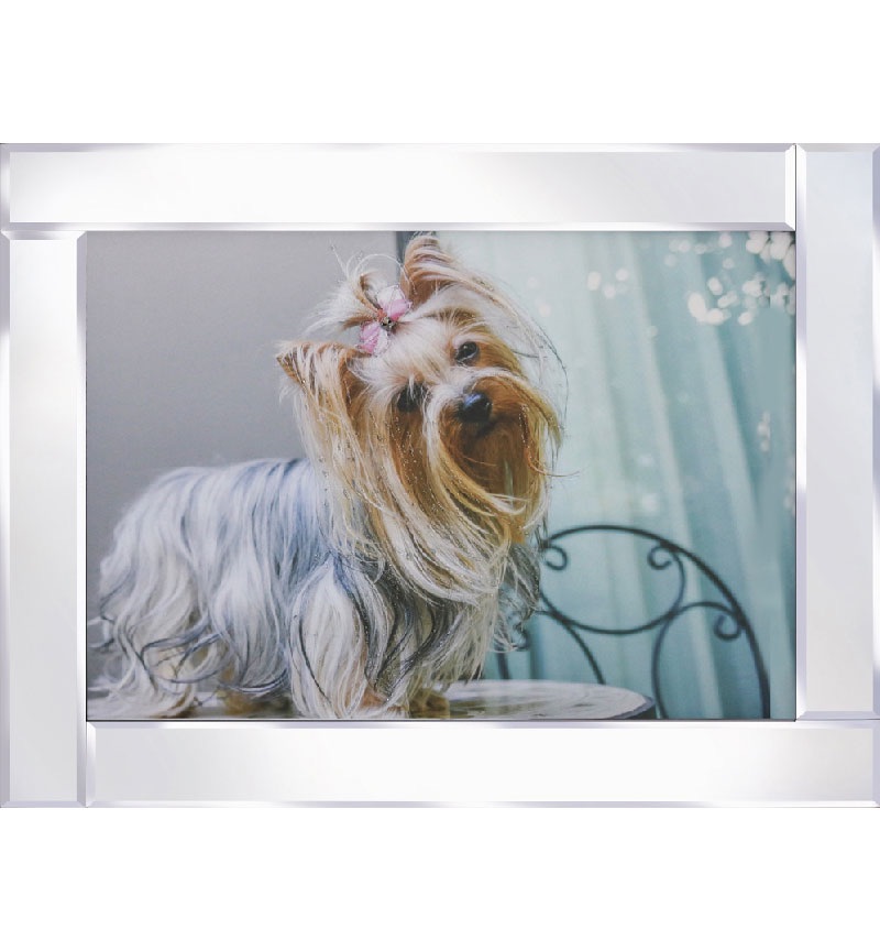 Mirror framed art print " Cute Yorkshire Terrier with Ribbon "  95cm x 75cm