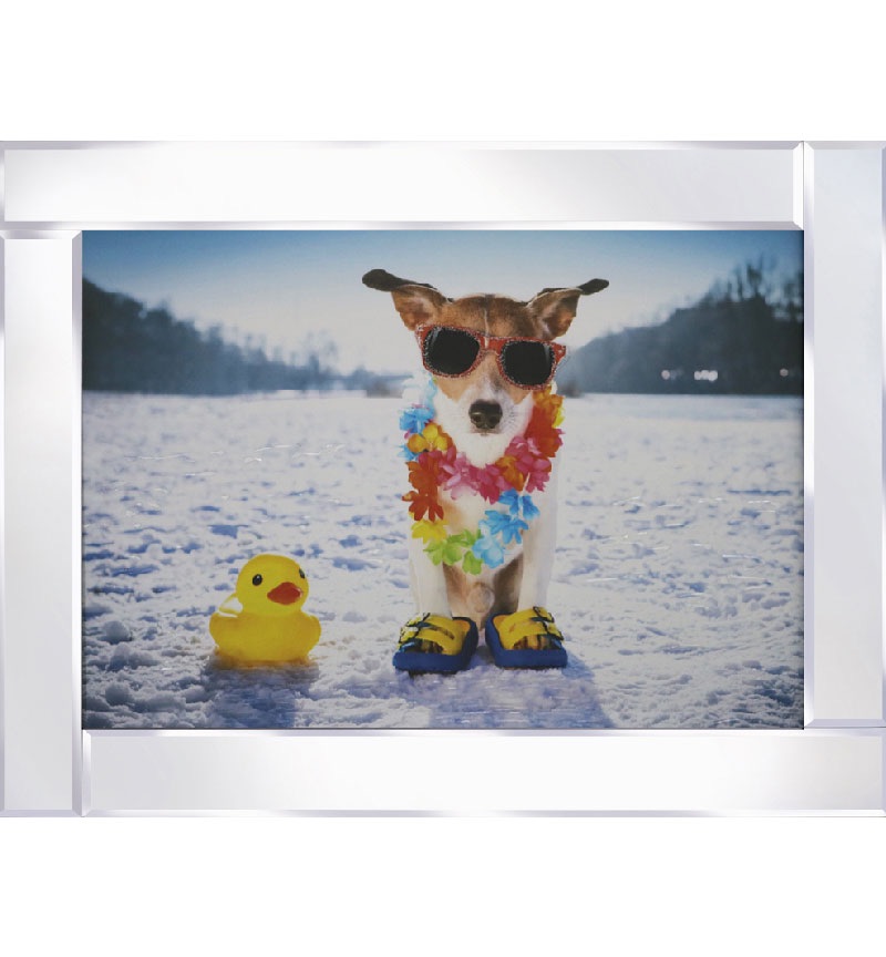 Mirror framed art print " Dog with sunglasses Enjoying the Snow " 95cm x 75cm