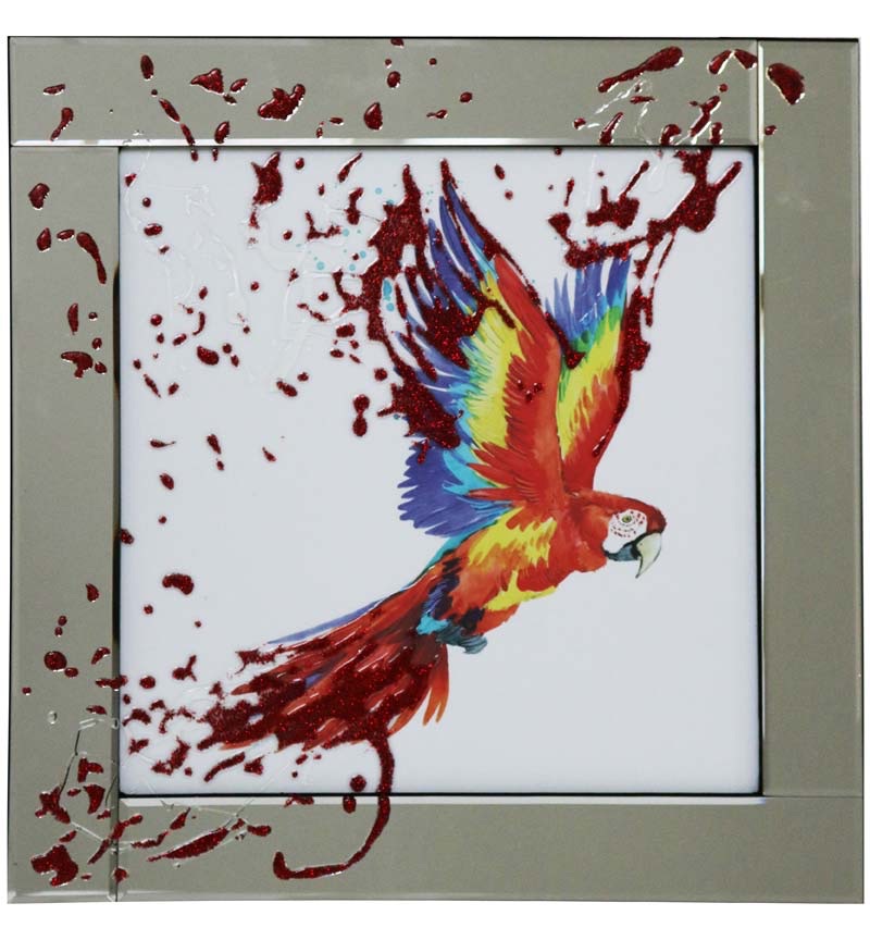 Mirror framed Liquid art Colourful Parrot Splash 60cm x 60cm