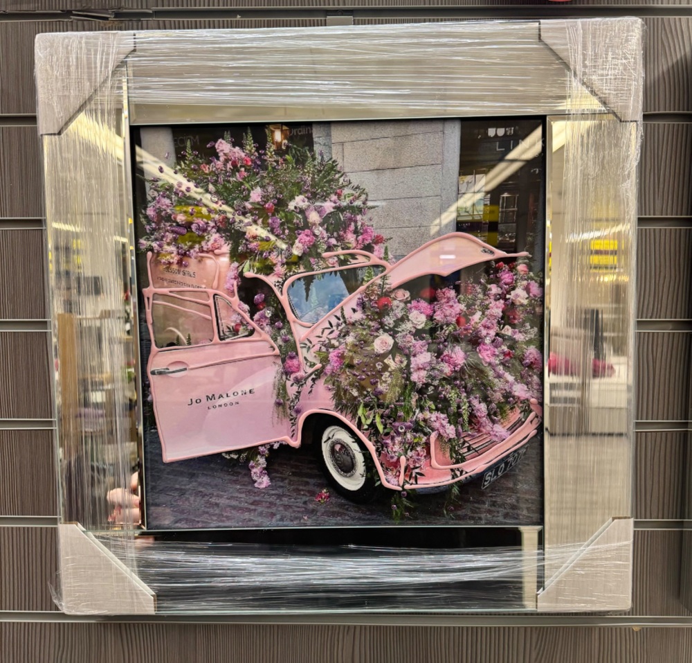 Pink Floral Flower Beetle in a mirrored  frame 55cm x 55cm