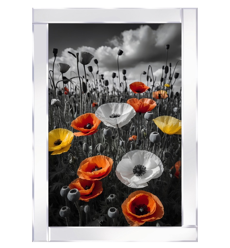 Mirror framed art "Monochrome Capture of a Poppy Field" 100cm x 60cm