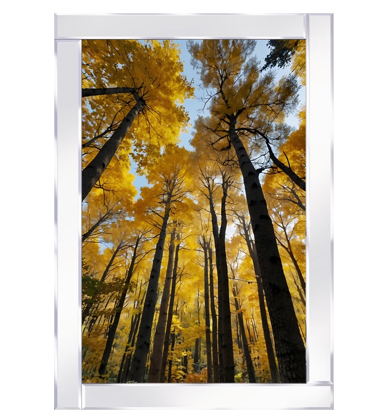 Mirror framed art " Aerial view of Autumn Forest Glowing with Bright Golden Leaves" 100cm x 60cm