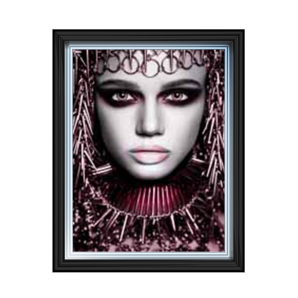 Egyptian lady 2 Media Wall Art in a 2 tone  Frame