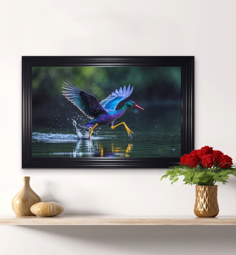 Iridescent Gallinule Leaps Moonlit Water Framed Wall Art  115cm x 75cm