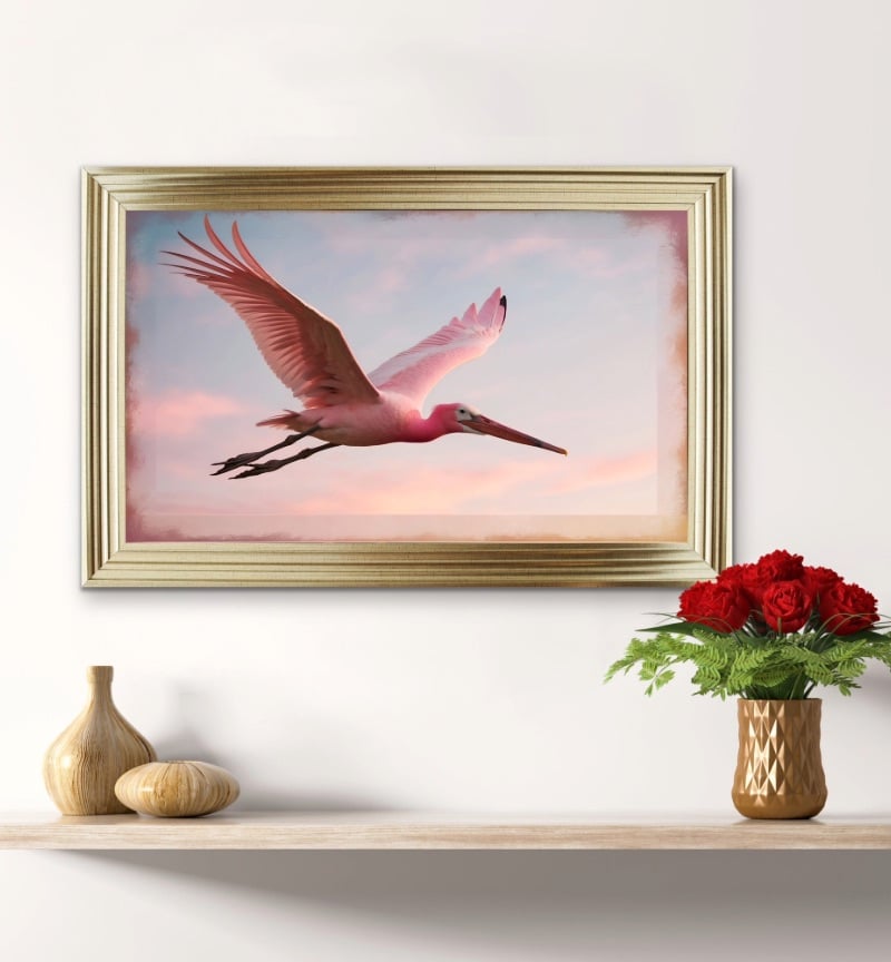 Graceful Pink Spoonbill Glides Through Air Framed wall Art 115cm x 75cm