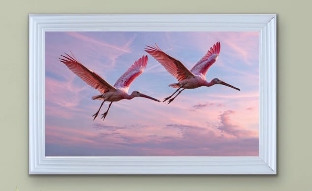 Flamingo Pair Flying Framed Wall Art  115cm x 75cm