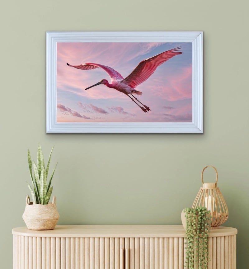 Graceful Pink Spoonbill Glides Through The Air Framed Wall Art  115cm x 75cm white framed