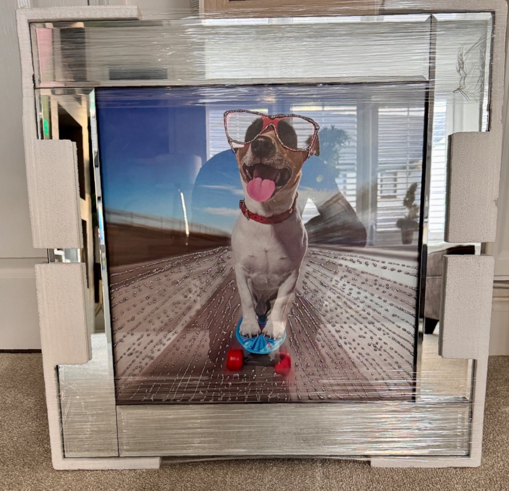 Mirror framed art print "Dog on a Skateboard" 60cm x 60cm