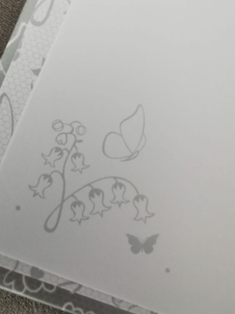 A6 Butterfly silver notebook