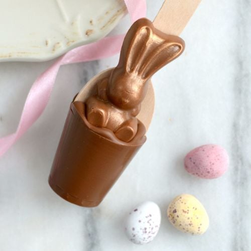 Hot Chocolate Spoon with Pink Roses Pattern