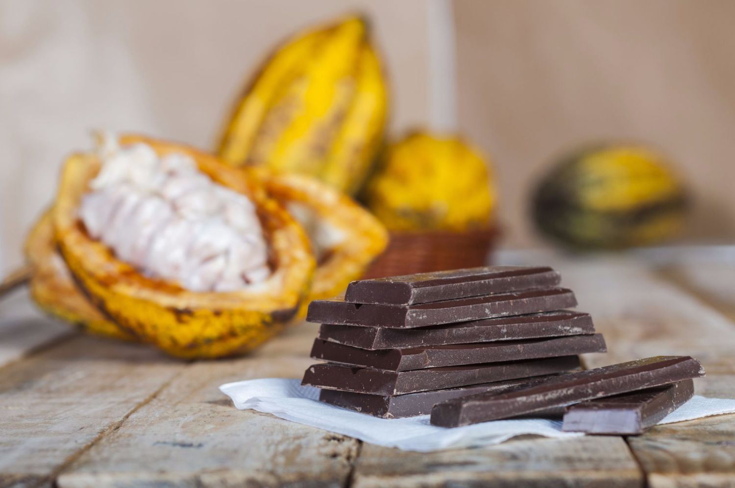 Cocoa Beans Facts Chocolate History & Research by Cocoa & Heart