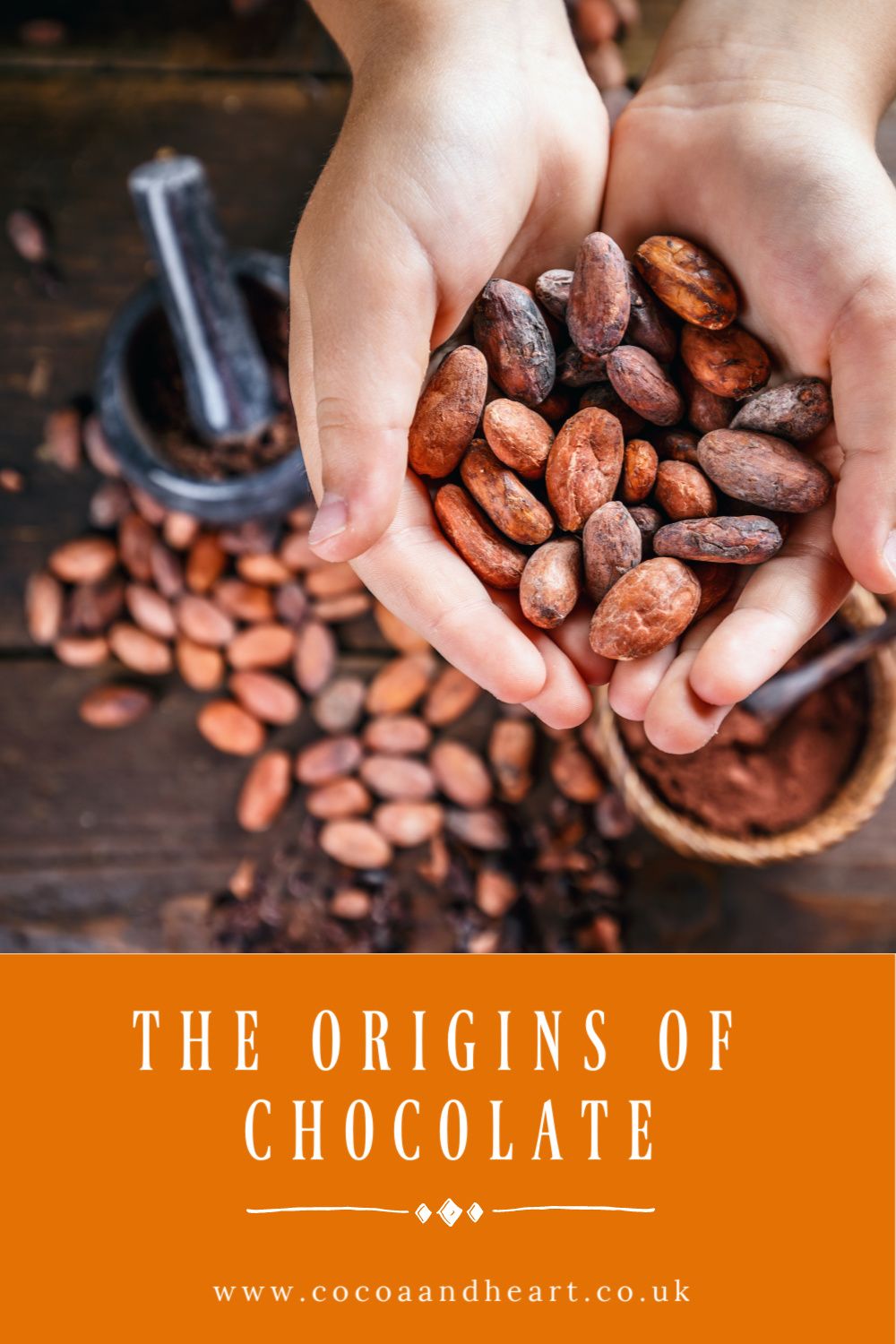 The Origins of Chocolate - Where does chocolate come from? The Origins of Chocolate - Where does chocolate come from?