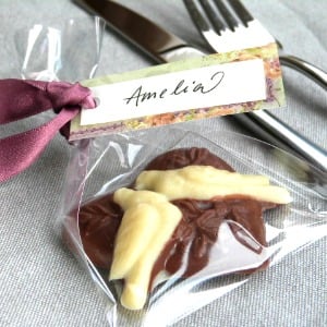 Chocolate Heart with Love Birds
