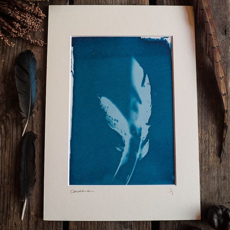 Cyanotype mounted original prints