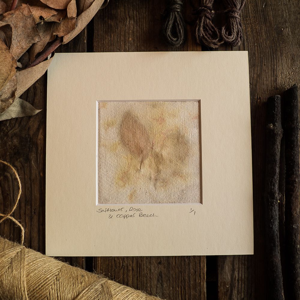 Safflower petal, Rose leaf and Copper Beech print on handmade paper