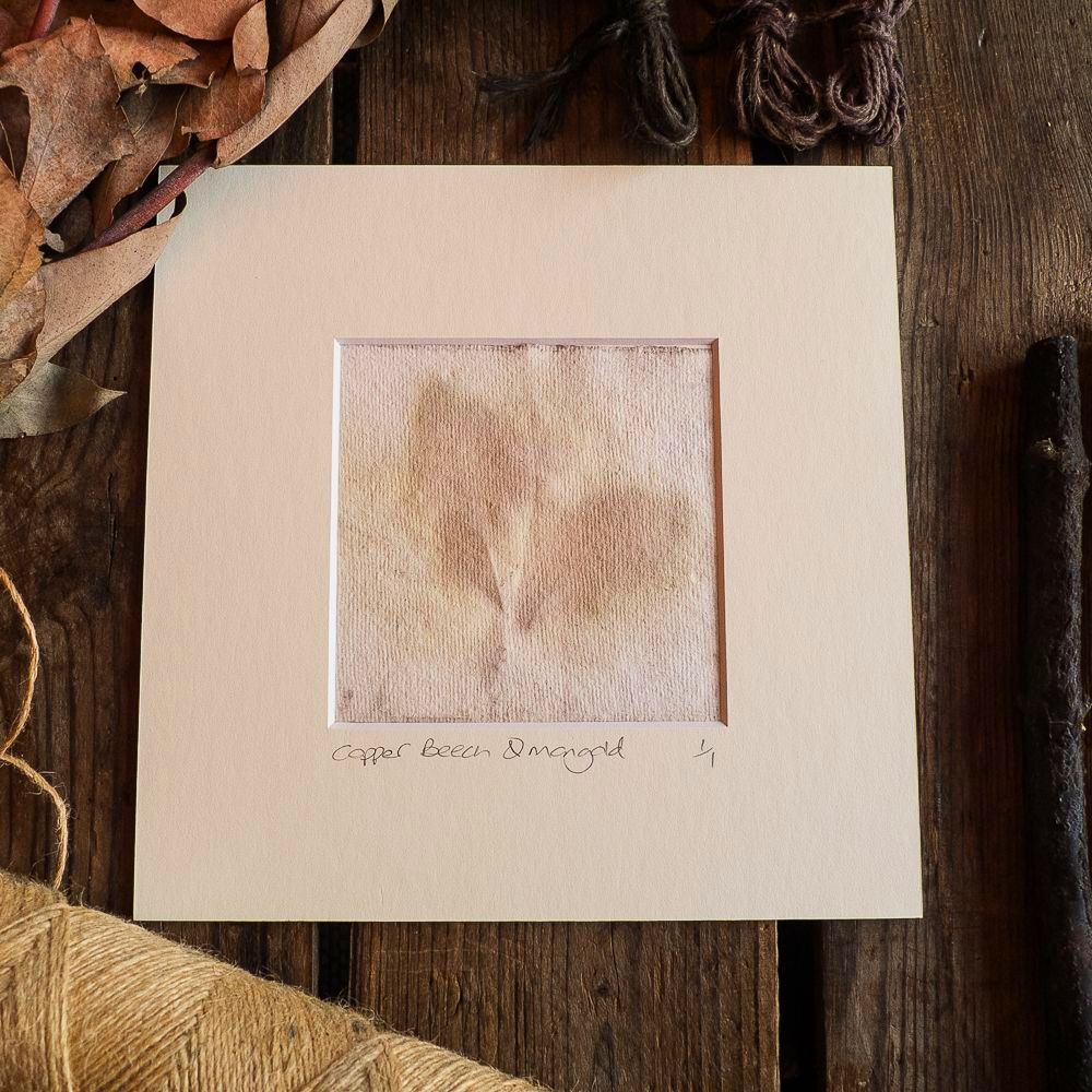 Small Copper Beech and Marigold petal print on handmade paper