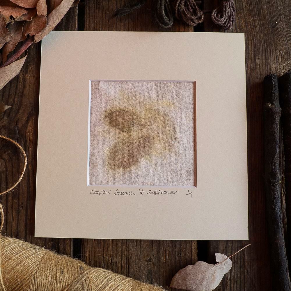 Small Copper Beech and Safflower petal  print on handmade paper