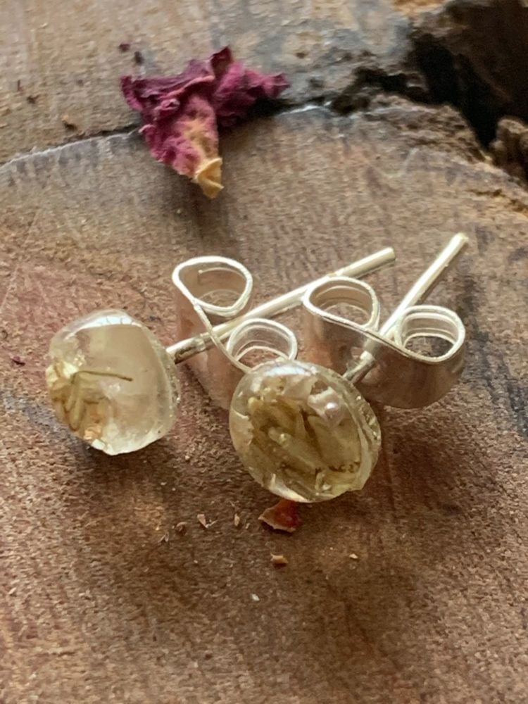 Tiny white baby's breath flower stud earrings.
