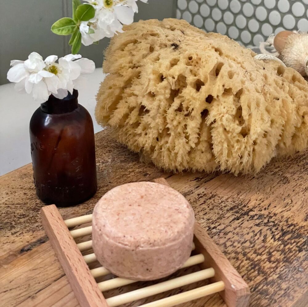 Wild Rose & Argan Softening Shampoo Bar