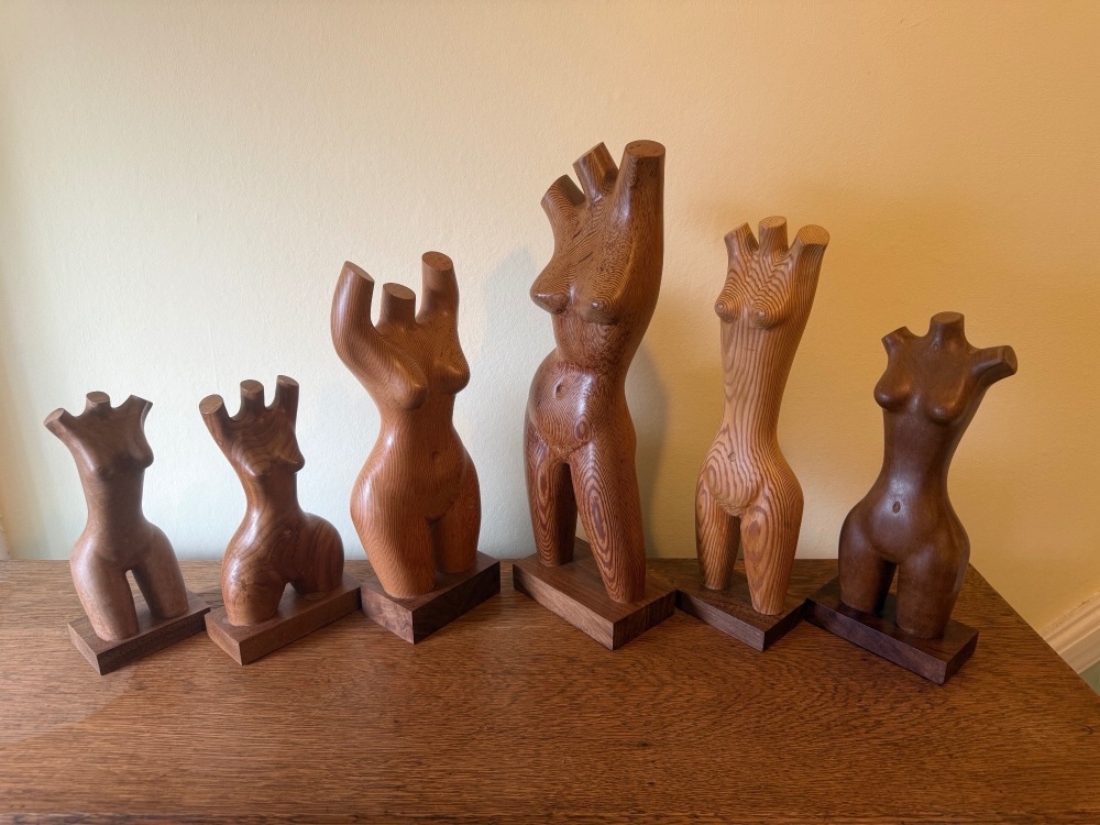 Hand carved wooden torsos Group E
