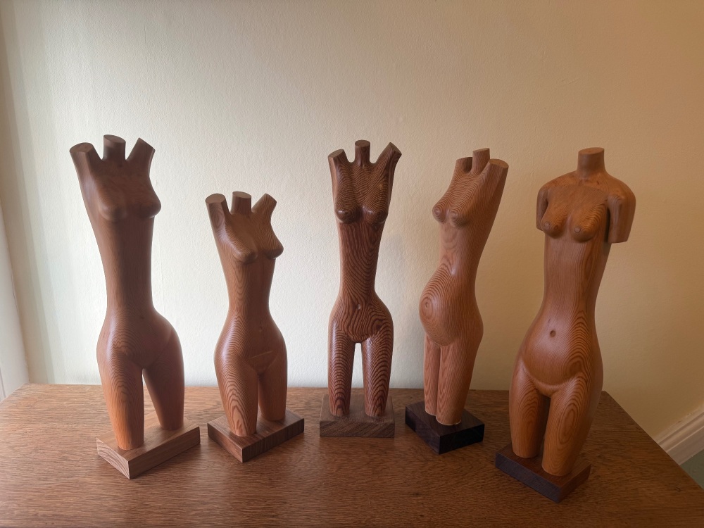 Hand carved wooden torsos . Group F