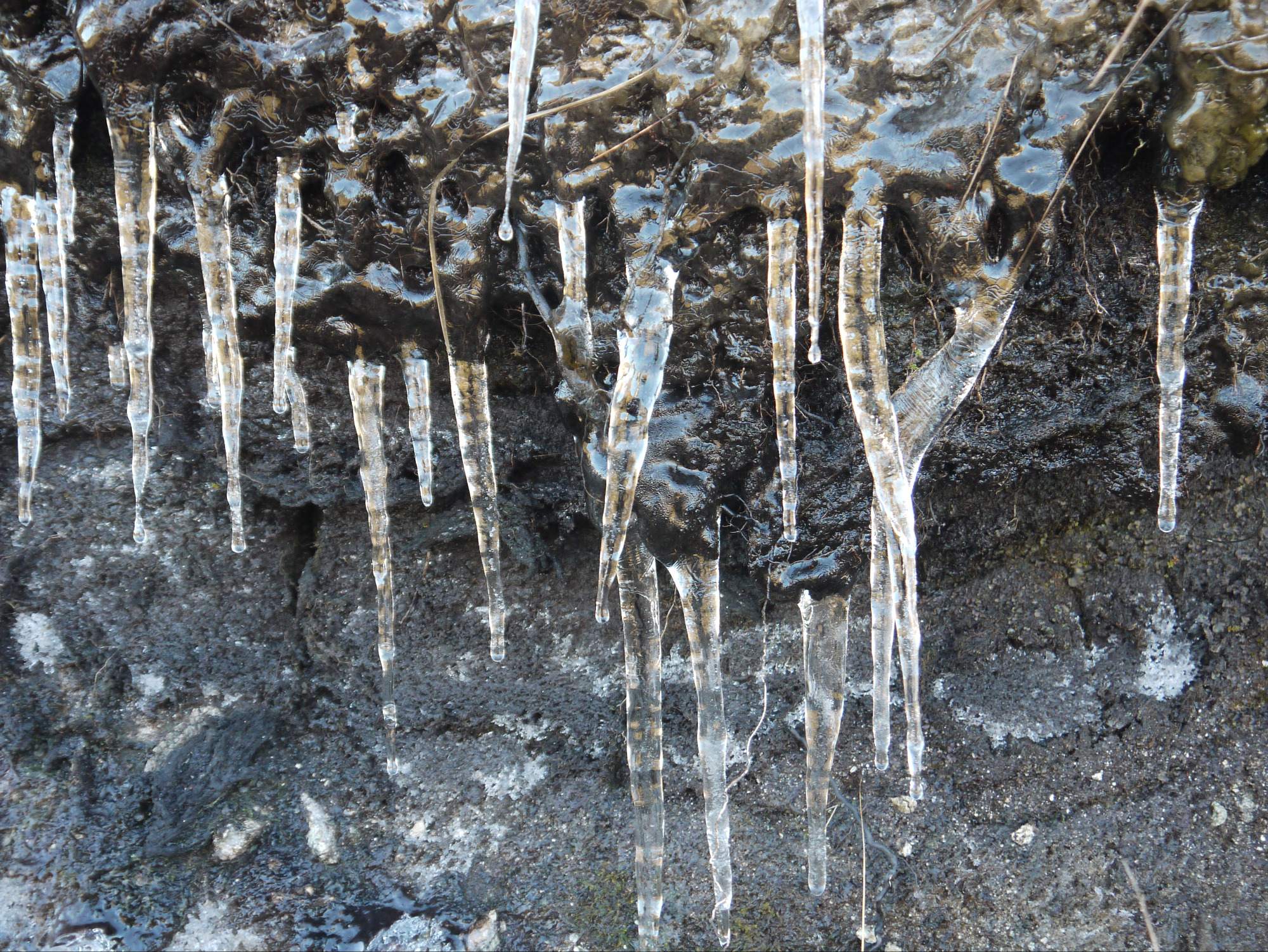 icicles bank