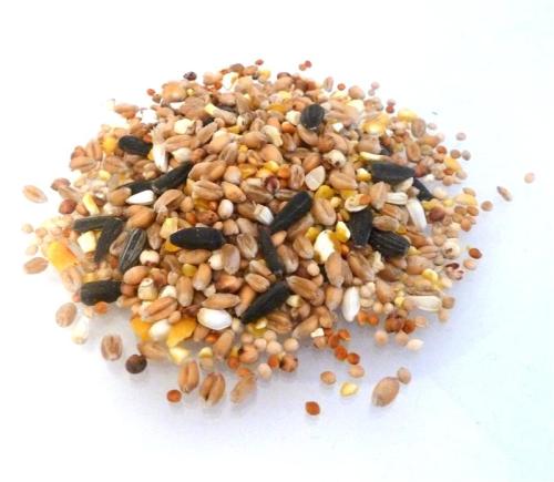 Wild Bird Food - 1kg