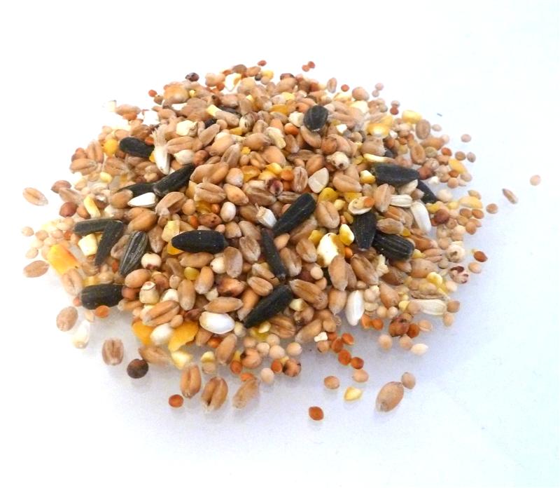 Wild Bird Food - 15kg