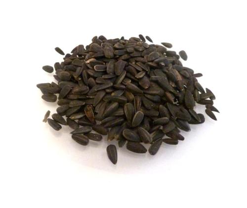 Sunflower Seeds - 15kg