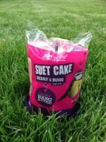 Insect suet cake with hanger - Pack of 4