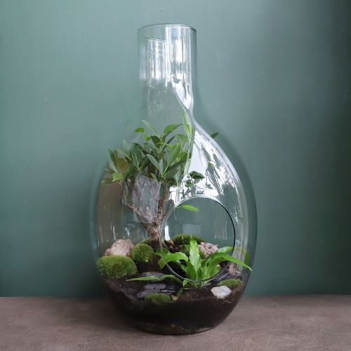 Bonsai Terrarium