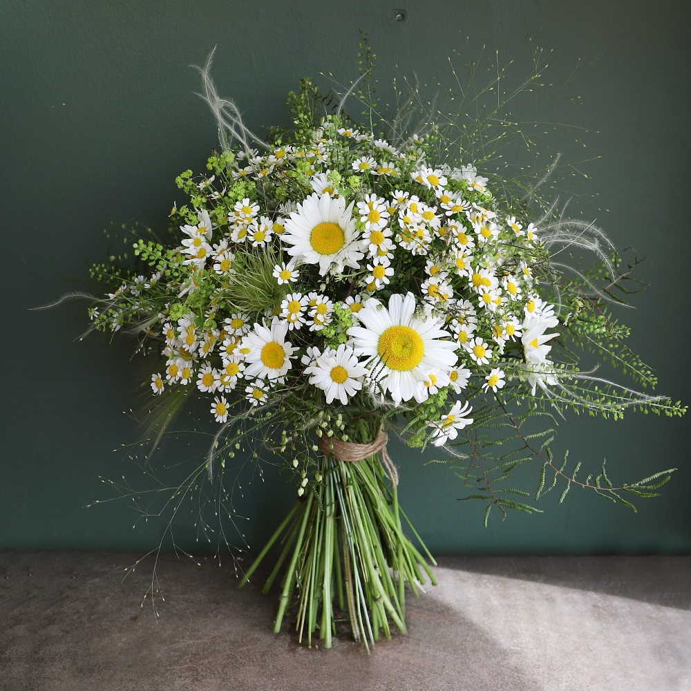 2. Daisy, Daisy 