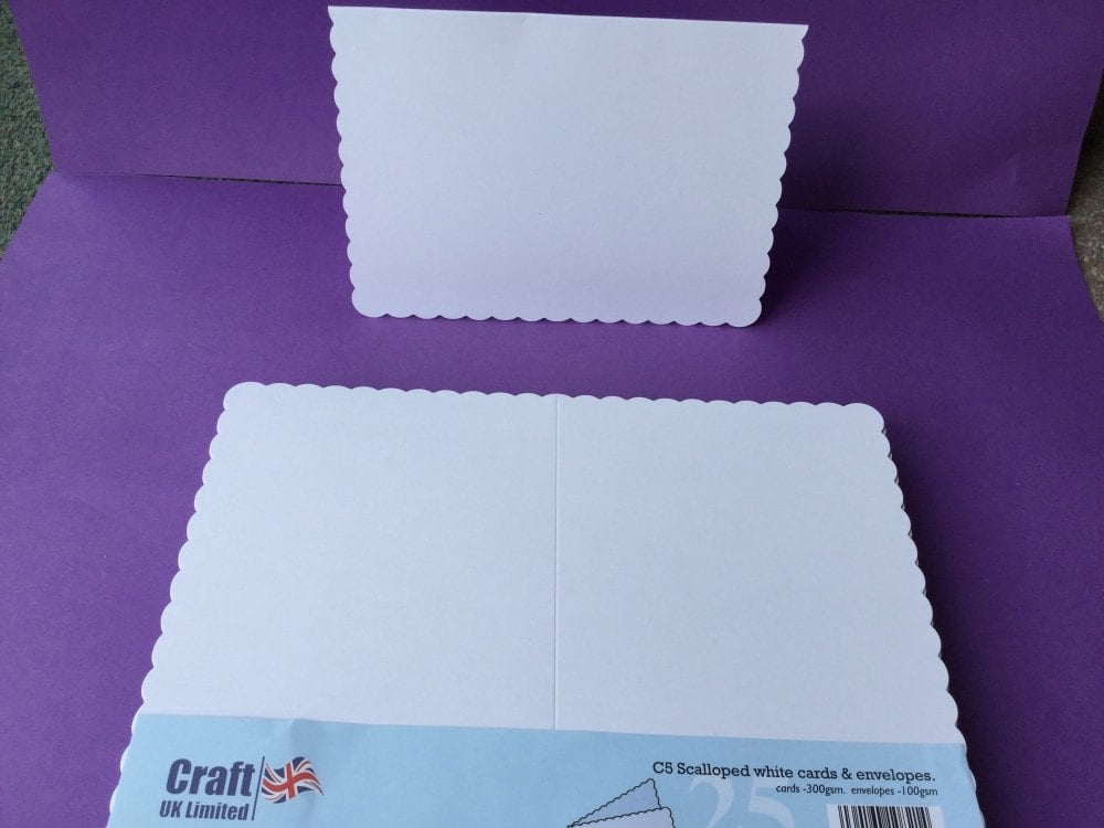 Card & Envelope pks C5 White Scalloped pk of 25 cards-300gsm,env-100gsm  line no 838