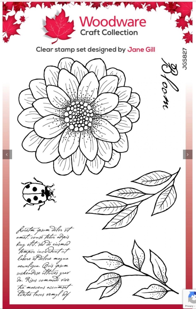 Woodware Clear Singles Ditsy Daisy 4” x 6” Stamp
