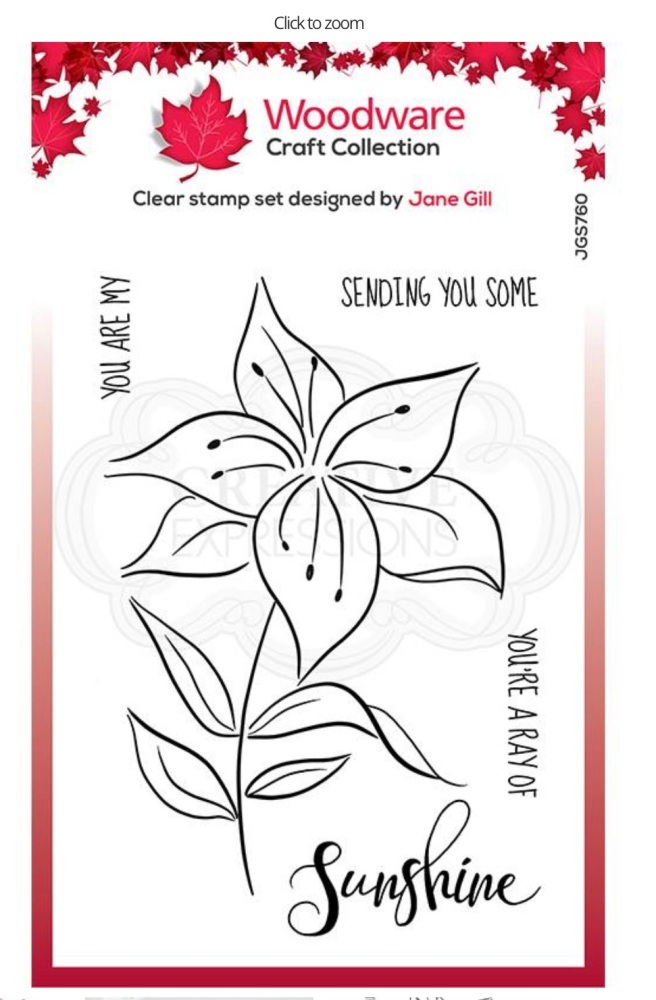 Woodware Clear Singles Lily Sketch 4” x 6 “ Stamp