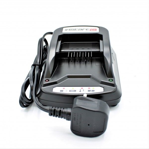 Briggs & Stratton Engine Battery Charger