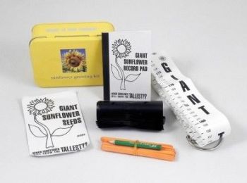 Gift in a Tin - Sunflower Growing Kit