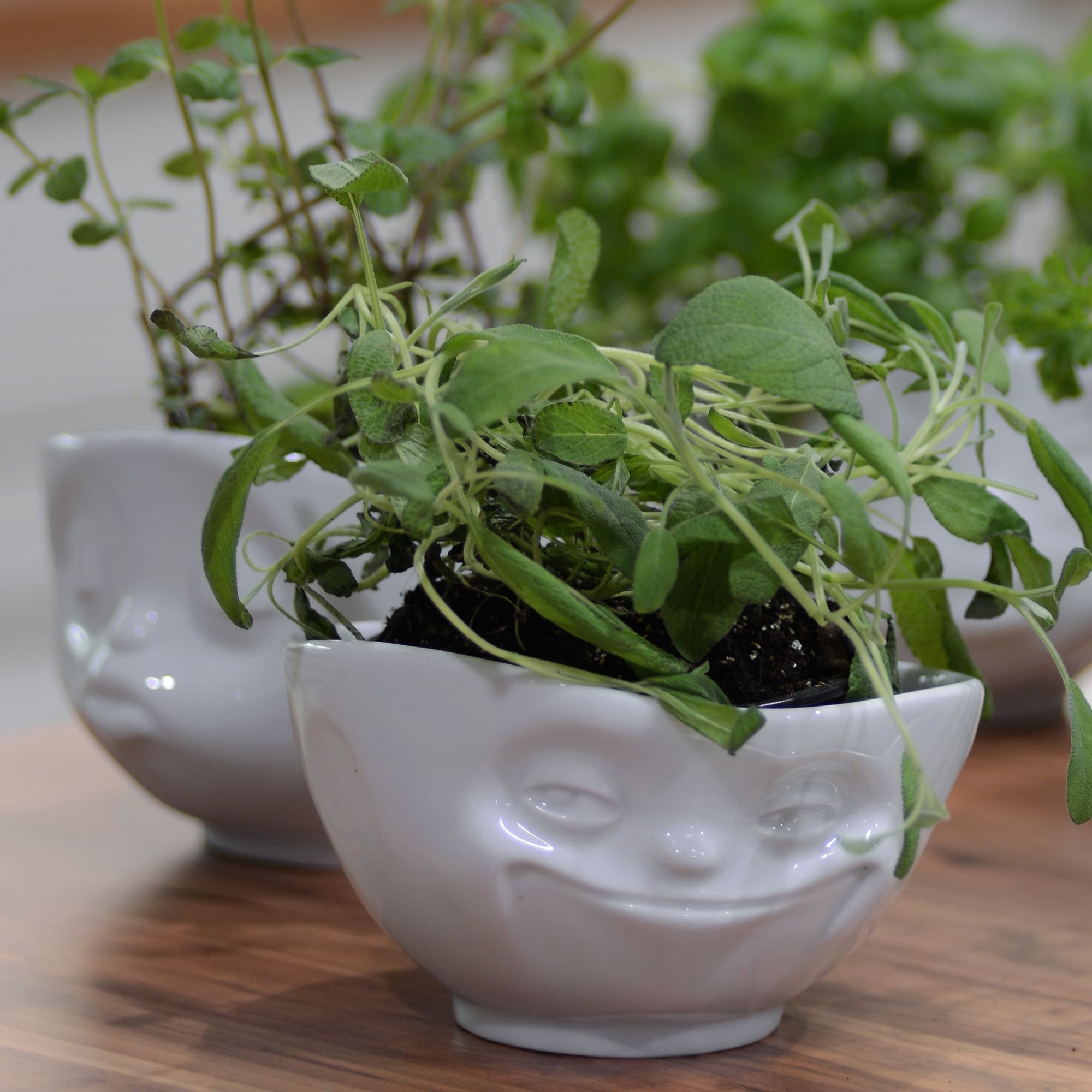 Tassen Bowl Herbs