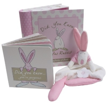 Rufus Rabbit - Girl's Comforter and Book Gift Set