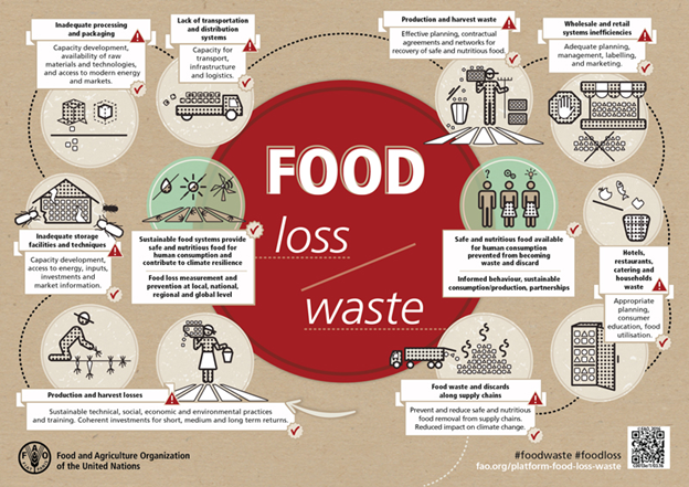 Food waste blog