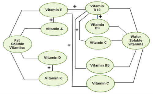 Vitamin synergy Fig 2