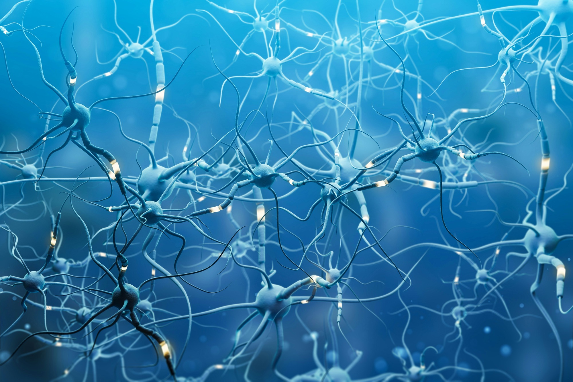 Example image