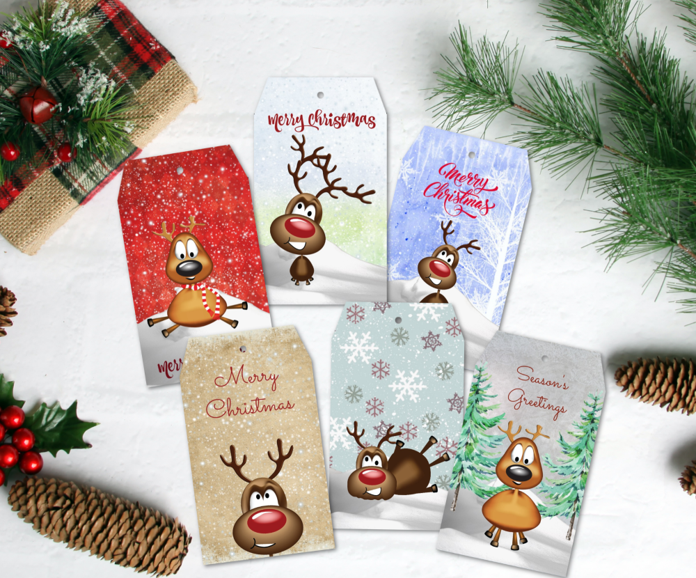 6 Assorted Christmas Reindeer Gift Tags & Natural Jute Twine
