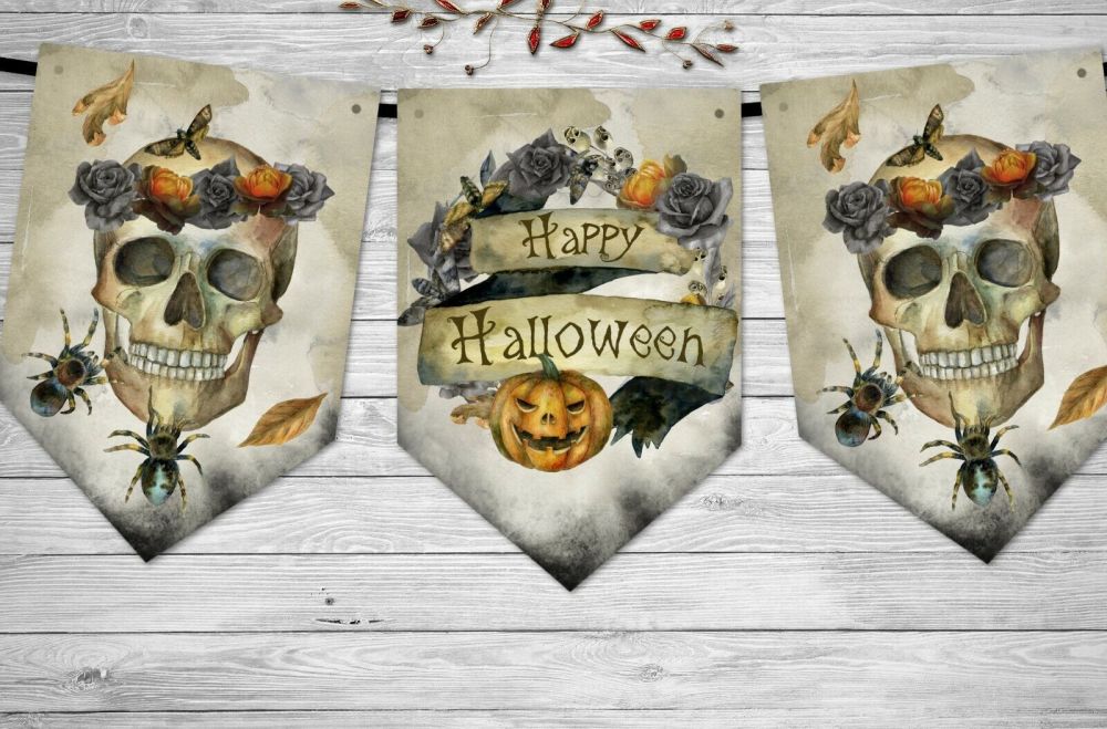 Skull & Tarantulas Happy Halloween Bunting/Banner & Ribbon - 3m