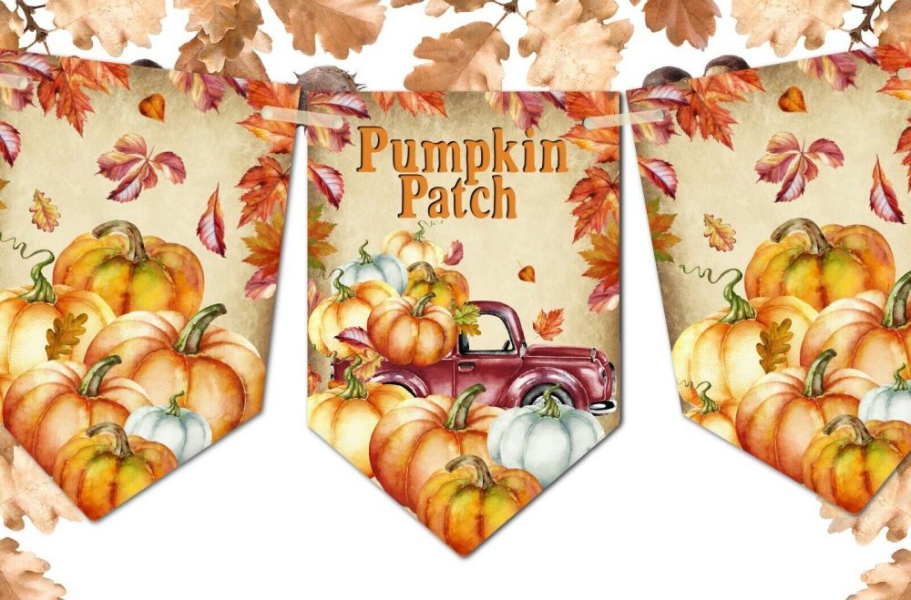 Halloween Pumpkin Patch Decoration Bunting/Banner & Ribbon