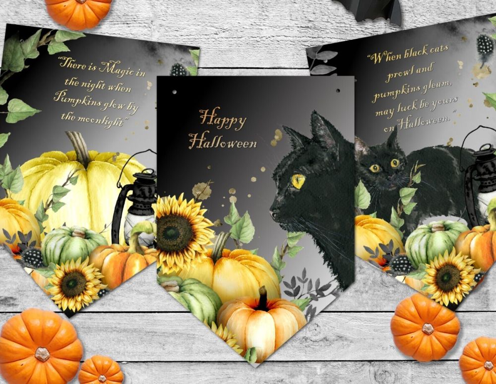 Halloween Black Cats & Pumpkins Party Decoration Bunting & Ribbon